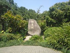 -鲤鱼洲酒店港鲤咖啡厅