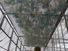 -上海鲜花港