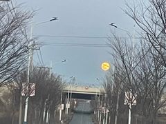 -蓝精灵乐园·世茂精灵之城主题乐园