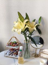 -禾壹净·素颜美问题肌肤修护中心