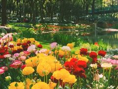 -上海共青森林公园