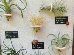 -棕榈岛&雅苑海鲜自助餐厅(虹桥迎宾馆店)