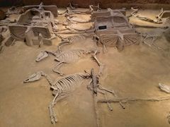 -洛阳周王城天子驾六博物馆