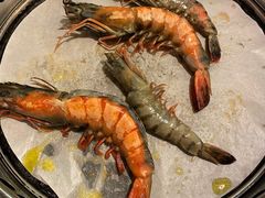 -熊出没日本烧肉放题