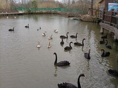 -溱湖国家湿地公园