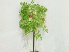-嗨北游泳俱乐部(艺丰大厦店)