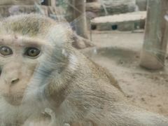 -辛玛王国游乐园