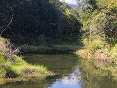 -海南热带雨林国家公园吊罗山景区