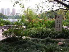 -重庆彩云湖湿地公园