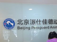 -北京派仕佳德动物医院·超导核磁·CT·神经科·骨科·内外科·急重症管理中心