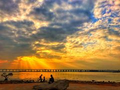 -宝安西湾红树林湿地公园