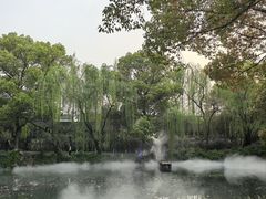 -茅老太臭豆腐