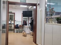 -宠颐生中康贝怡动物医院