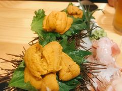 野生马粪活海胆-鲔屋寿喜烧