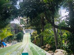 -亚马逊丛林水乐园