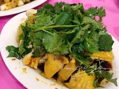 白切鸡-电白鸭粥店(下沙二坊88号店)