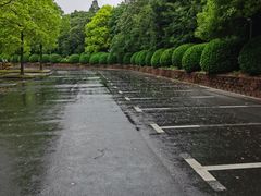 -上海滨江森林公园·停车场