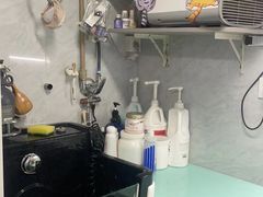 -猫宠乐园·专业洗护