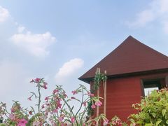 -空港花田景区