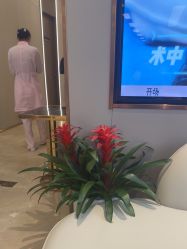 -杭州米兰柏羽医疗美容医院