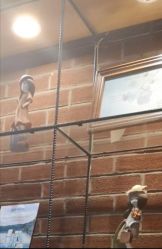 -时尚殿堂·颜SPA