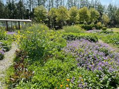 -前小桔亲子创意农场·草莓采摘·露营烧烤