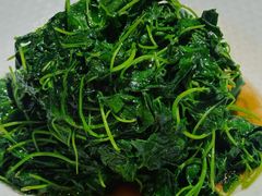 -绿雅酒家(江西中路店)