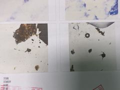 -半岛宠物医院24小时(科华中路店)