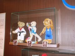 -济州岛泰迪熊博物馆