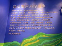 -贵凤凰贵州米粉(望京店)