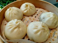 -眉州东坡(民族园店)