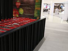 -尼诺伊·阿基诺国际机场T3航站楼