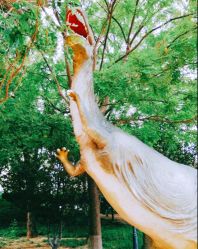 -大望京儿童游乐场