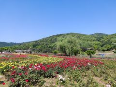 -龙寺生态园