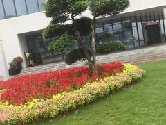 -野狸岛