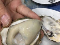 -渔家小院观海海肠捞饭地方菜(环海中路店)