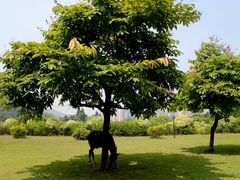 -南沙蒲洲花园