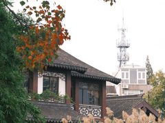 -莫愁湖公园