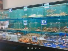 水产区-南海渔家•海鲜•正宗海南菜(海棠湾店)
