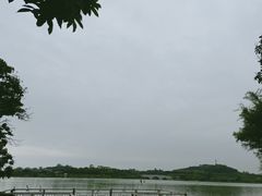 -鹤之洲湿地公园