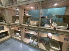 -BABIT巴比特宠物(MOMOPARK店)