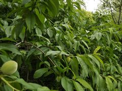 -荆川公园