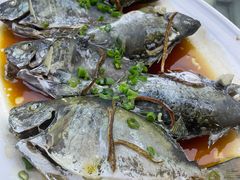 -沙田台山海鲜·酣客酒窖