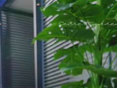 -代数学家algebraist(仙林金鹰店)