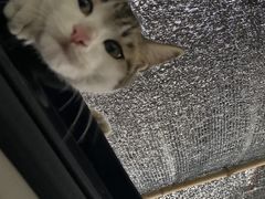 -金典银峰老鹅馆·昆山菜(亭林公园店)
