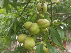 -驿舍·民國老营房院子私房菜(科学会堂店)