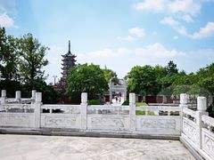 -观潮胜地公园