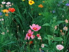 -长春市南湖公园