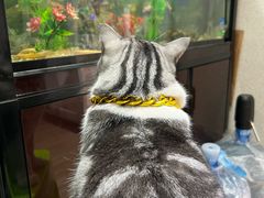 -百金通黄金回收首饰定制维修(珠江路总部)