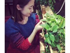 漫生活咖啡馆-花与咖啡馆(金星楼店)